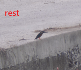 Hu Mei sticker #15923709