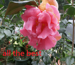 Hu Mei sticker #15923710