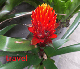 Hu Mei sticker #15923711