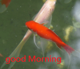 Hu Mei sticker #15923712