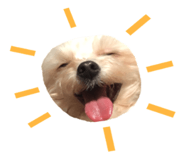 MOCO's everyday. sticker #15923851