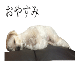 MOCO's everyday. sticker #15923853