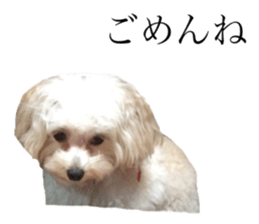 MOCO's everyday. sticker #15923855