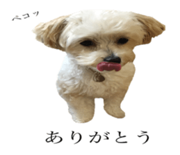 MOCO's everyday. sticker #15923856