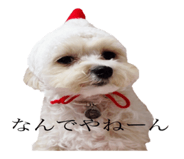 MOCO's everyday. sticker #15923858