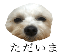 MOCO's everyday. sticker #15923860