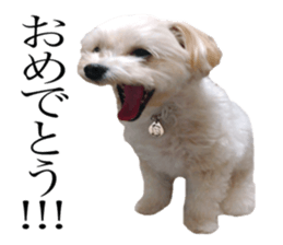 MOCO's everyday. sticker #15923861