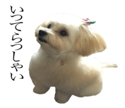 MOCO's everyday. sticker #15923863