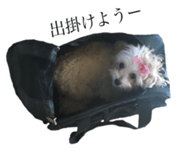 MOCO's everyday. sticker #15923864