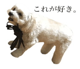 MOCO's everyday. sticker #15923865