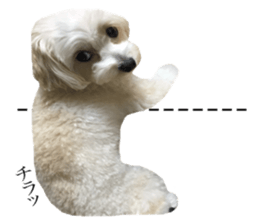 MOCO's everyday. sticker #15923868