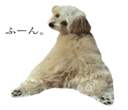 MOCO's everyday. sticker #15923870