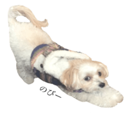 MOCO's everyday. sticker #15923872