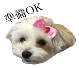 MOCO's everyday. sticker #15923873