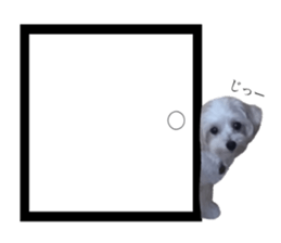 MOCO's everyday. sticker #15923874