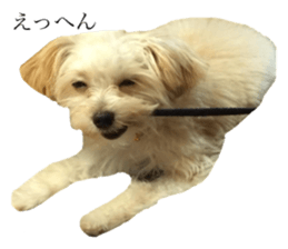 MOCO's everyday. sticker #15923875