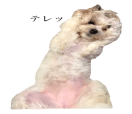 MOCO's everyday. sticker #15923878