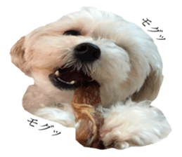 MOCO's everyday. sticker #15923879