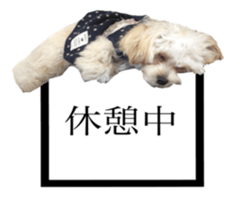 MOCO's everyday. sticker #15923881