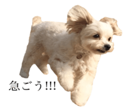 MOCO's everyday. sticker #15923882