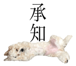 MOCO's everyday. sticker #15923883