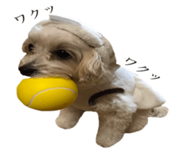 MOCO's everyday. sticker #15923884