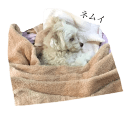 MOCO's everyday. sticker #15923886