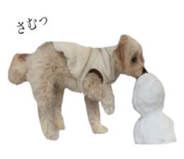 MOCO's everyday. sticker #15923887