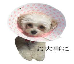 MOCO's everyday. sticker #15923889