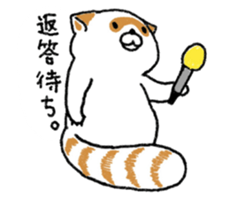 White Raccoon dog SHIROTANU sticker #15924601