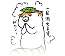 White Raccoon dog SHIROTANU sticker #15924602