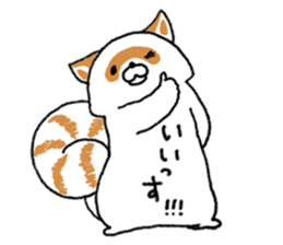 White Raccoon dog SHIROTANU sticker #15924604