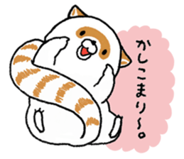 White Raccoon dog SHIROTANU sticker #15924605