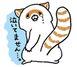 White Raccoon dog SHIROTANU sticker #15924608