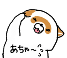 White Raccoon dog SHIROTANU sticker #15924610