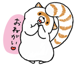 White Raccoon dog SHIROTANU sticker #15924611