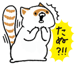 White Raccoon dog SHIROTANU sticker #15924615