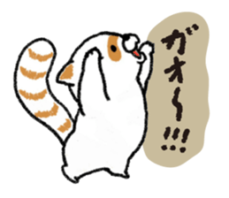 White Raccoon dog SHIROTANU sticker #15924617