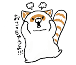 White Raccoon dog SHIROTANU sticker #15924620