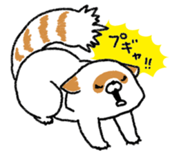 White Raccoon dog SHIROTANU sticker #15924621
