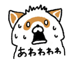 White Raccoon dog SHIROTANU sticker #15924622