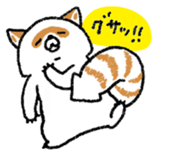 White Raccoon dog SHIROTANU sticker #15924624