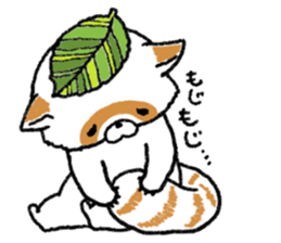 White Raccoon dog SHIROTANU sticker #15924626
