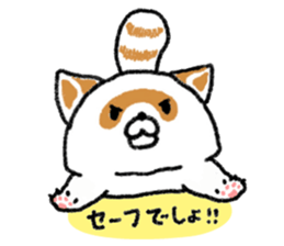 White Raccoon dog SHIROTANU sticker #15924628