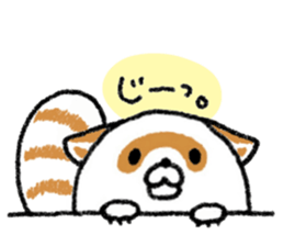 White Raccoon dog SHIROTANU sticker #15924629