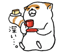 White Raccoon dog SHIROTANU sticker #15924630