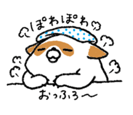 White Raccoon dog SHIROTANU sticker #15924632