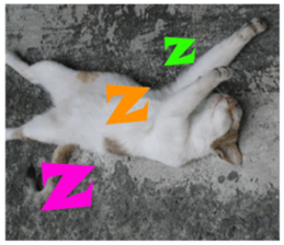 street Cat images -1 sticker #15925509