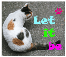 street Cat images -1 sticker #15925514