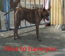 Sound sticker #15925884